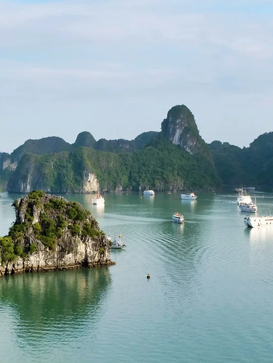 TP. Hạ Long